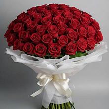 Букет 101 Красная роза Блэк Мэджик в Кшенский