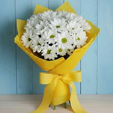 Букет цветов из:  Хризантемы в Кшенский