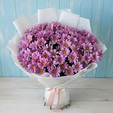 Букет цветов из:  Хризантемы в Кшенский