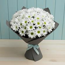 Букет цветов из:  Хризантемы в Кшенский