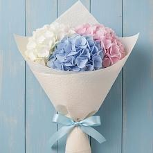 Букет цветов из:  Гортензия в Кшенский