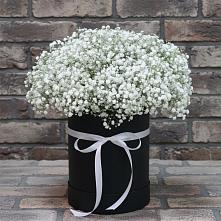 Цветочная композиция из Гипсофила в шляпной коробке #REPLACE_PRED# Кшенский