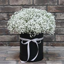 Цветочная композиция из Гипсофила в шляпной коробке в Кшенский