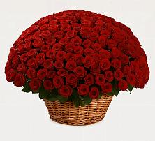 Премиум букет из: Розы в Кшенский