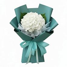 Букет цветов из:  Гортензия в Кшенский
